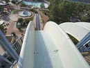 Free Fall