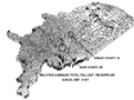 Plumbbob Doppler Nuclear Fallout Map