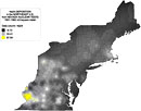 Deposition of radioactive sodium Na24 in the Northeastern United States from Nevada Test Site fallout, 1951-1962 (gradient map.)