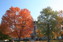 Court House in autumn, Paris MO